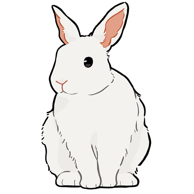 Rabbit Hole